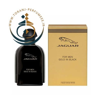 عطر ادکلن اورجینال جگوار گلد این بلک 100 میل مردانه | JAGUAR / JAGUAR FOR MEN GOLD IN BLACK 100ML EDT